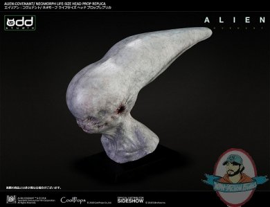 alien-covenant-neomorph-life-size-head-prop-replica-coolprops-903719-07.jpg
