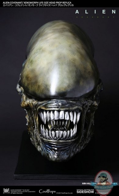 alien-covenant-xenomorph-life-size-head-prop-replica-cool-props-903191-03.jpg