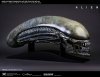 alien-covenant-xenomorph-life-size-head-prop-replica-cool-props-903191-04.jpg