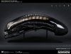 alien-gigers-alien-life-size-replica-cool-props-903024-01.jpg