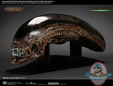 alien-resurrection-alien-new-warrior-life-size-head-prop-replica-cool-props-903158-02.jpg
