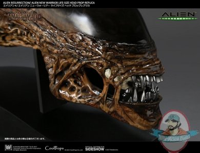 alien-resurrection-alien-new-warrior-life-size-head-prop-replica-cool-props-903158-11.jpg