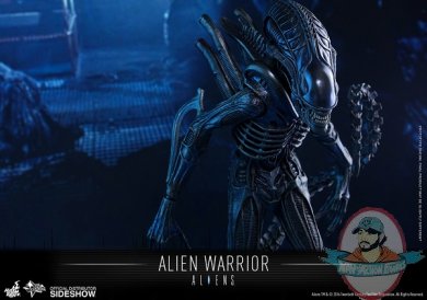 aliens-alien-warrior-sixth-scale-hot-toys-902693-06.jpg