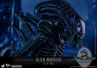 aliens-alien-warrior-sixth-scale-hot-toys-902693-15.jpg