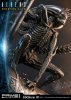 aliens-comic-book-scorpion-alien-statue-prime1-studio-904216-06.jpg