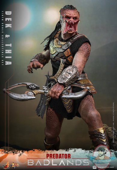 backpackbackpack5.jpg backpackbackpack5.jpg