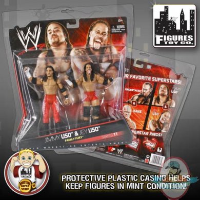 Wwe deals figure case