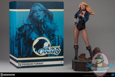 dc-comics-black-canary-premium-format-300287-16.jpg