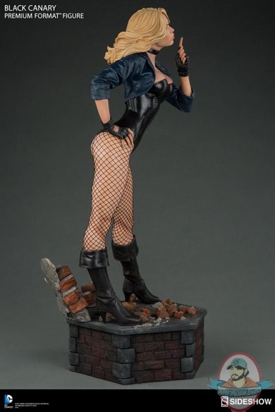 dc-comics-black-canary-premium-format-figure-300287-07.jpg