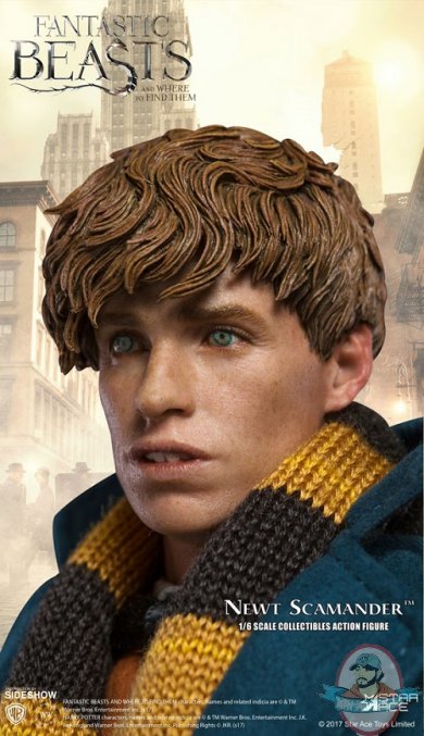 fantastic-beasts-and-where-to-find-them-newt-scamander-sixth-scale-903160-04.jpg