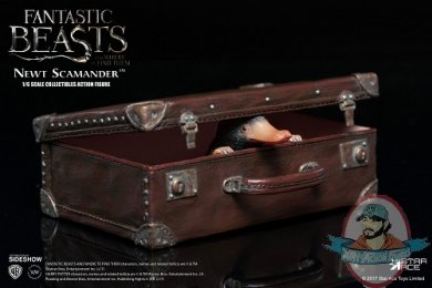 fantastic-beasts-and-where-to-find-them-newt-scamander-sixth-scale-903160-13.jpg