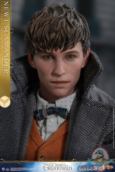 fantastic-beasts-the-crimes-of-grindwald-newt-scamander-sixth-scale-figure-hot-toys-904194-11.jpg