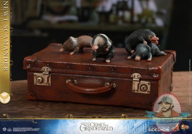 fantastic-beasts-the-crimes-of-grindwald-newt-scamander-sixth-scale-figure-hot-toys-904194-19.jpg