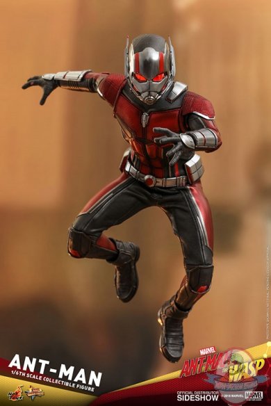 marvel-ant-man-sixth-scale-figure-hot-toys-903697-11.jpg