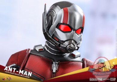 marvel-ant-man-sixth-scale-figure-hot-toys-903697-19.jpg