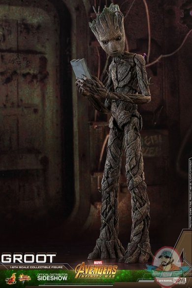 marvel-avengers-infinity-war-groot-sixth-scale-figure-hot-toys-903423-05.jpg