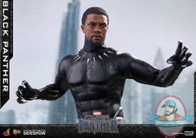 marvel-black-panther-sixth-scale-figure-hot-toys-903380-06.jpg