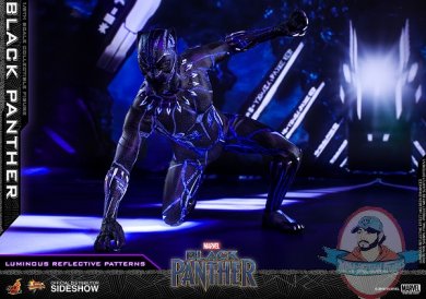 marvel-black-panther-sixth-scale-figure-hot-toys-903380-16.jpg