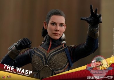 marvel-the-wasp-sixth-scale-figure-hot-toys-903698-01.jpg