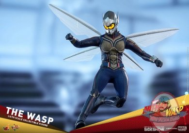 marvel-the-wasp-sixth-scale-figure-hot-toys-903698-06.jpg