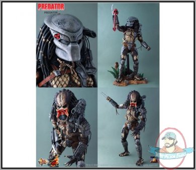 predator2.jpg