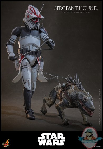 sgtpupper2.jpg