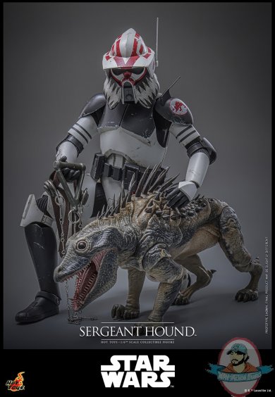 sgtpupper3.jpg