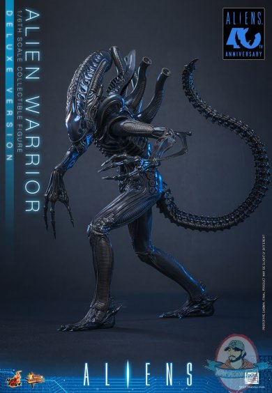 singlemotherof2.3.jpg