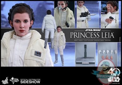 star-wars-princess-leia-sixth-scale-hot-toys-903034-18.jpg