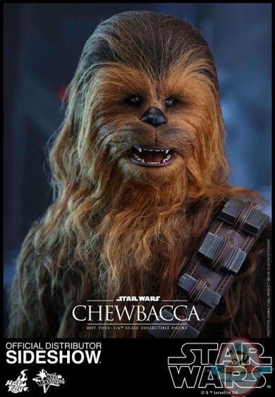 star-wars-the-force-awakens-chewbacca-sixth-scale-hot-toys-902759-11.jpg