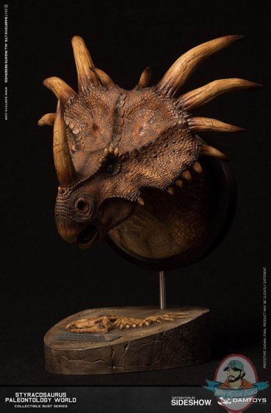 styracosaurus-bust-brown-version-damtots-903267-02.jpg