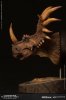 styracosaurus-bust-brown-version-damtots-903267-03.jpg