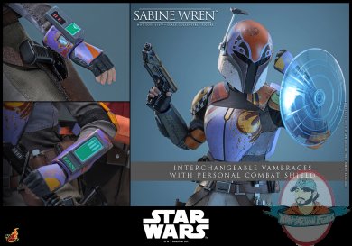 wreninrome7.jpg